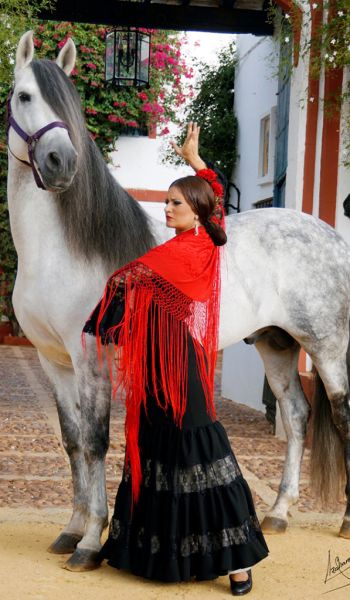 A Woman Is Standing In Front Of A Horse