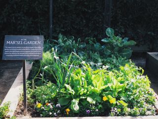 A Garden With A Sign